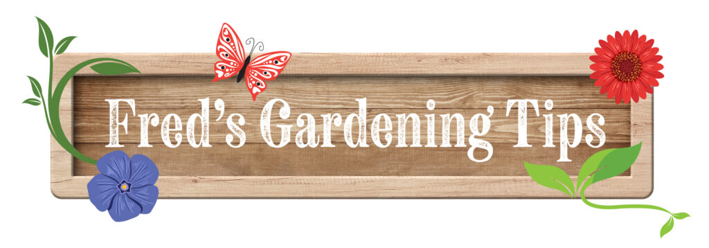 Fred's Gardening Tips
